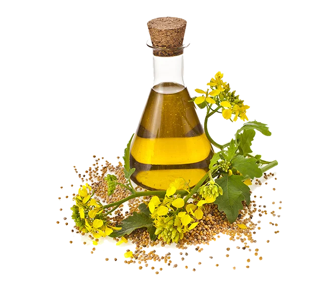 herbal-pure-product-1