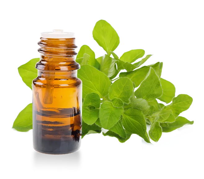 herbal-pure-product-3