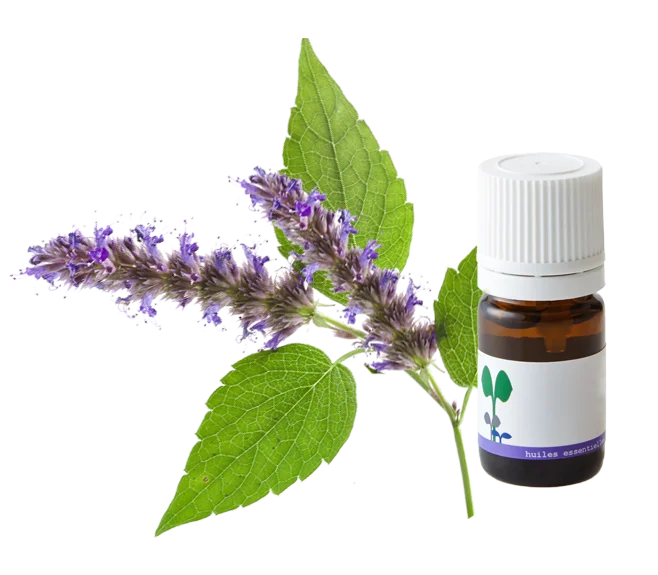 herbal-pure-product-6