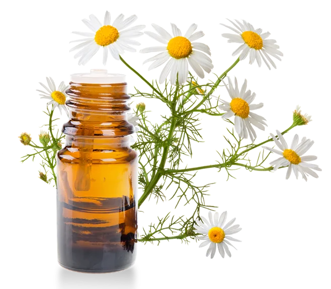 herbal-pure-product-8